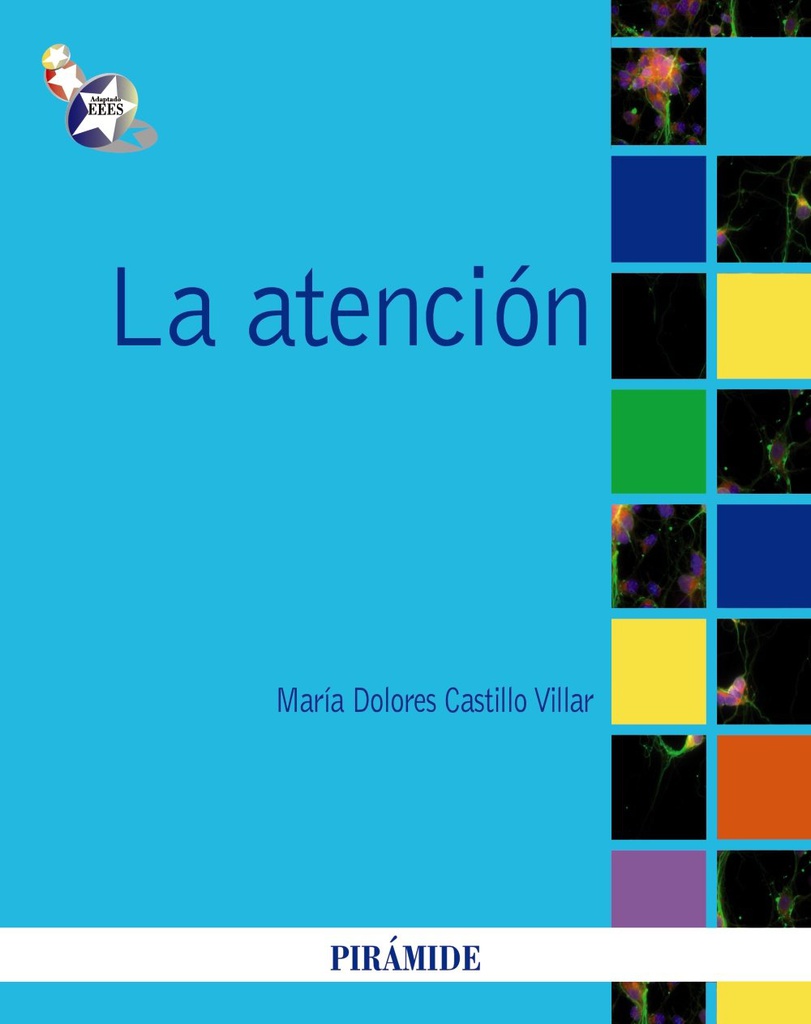 La Atención / María Dolores Catillo Villar