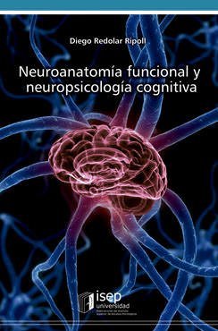 Neuroanatomía funcional y neuropsicología cognitiva / Diego Redolar Ripoll