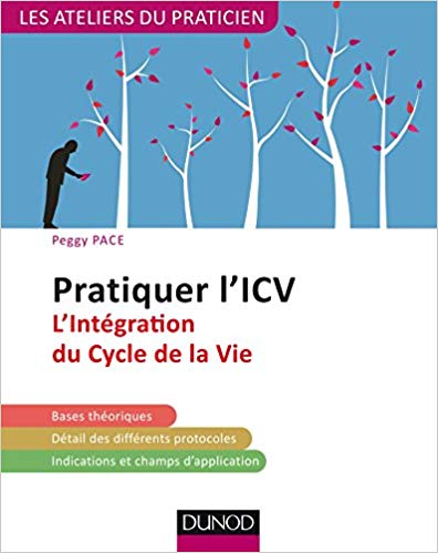 Pratiquer l'ICV : l'intégration du cycle de la vie / Peggy Pace ; [traduction Catherine Clément et Joanna Smith]